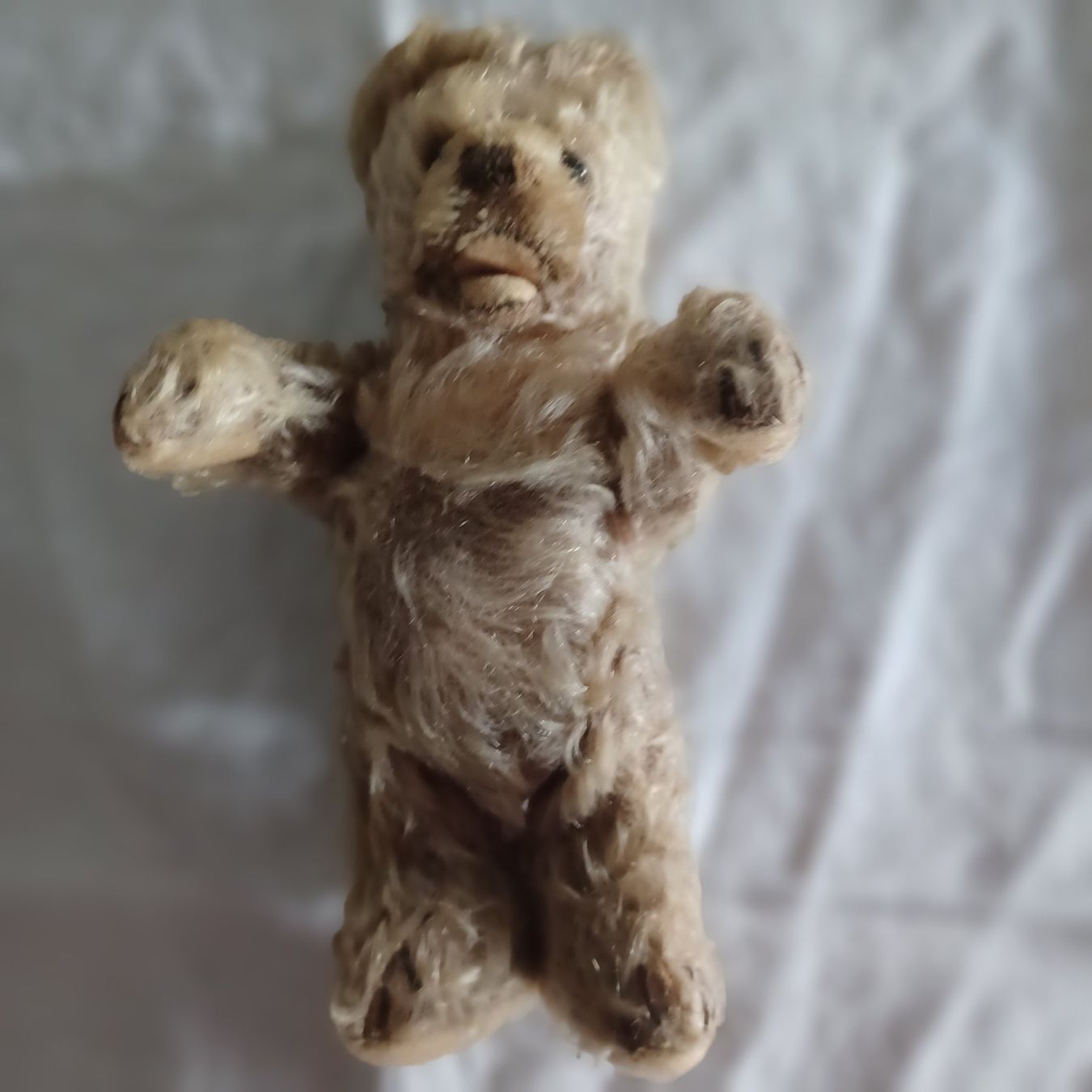 Steiff Giocattoli: Steiff winziges abgeliebtes Bärchen 18 cm gross – Usato da Abtwil SG venduto da luupsy