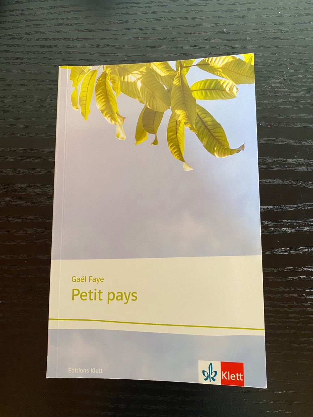 Libri: Petit pays Gael Faye Klett – Usato da Aarburg venduto da _edwina_