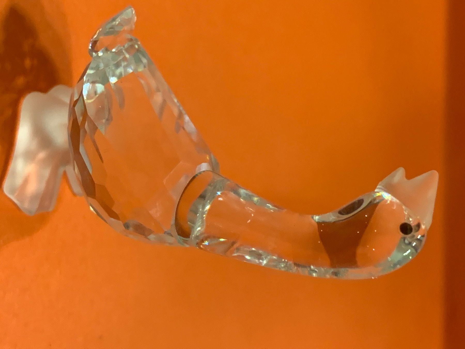 Swarovski Statuette: Swarovski Ganz  mit OVP – Nuovo e nell'imballaggio originale da Oberglatt ZH venduto da Multimix 2