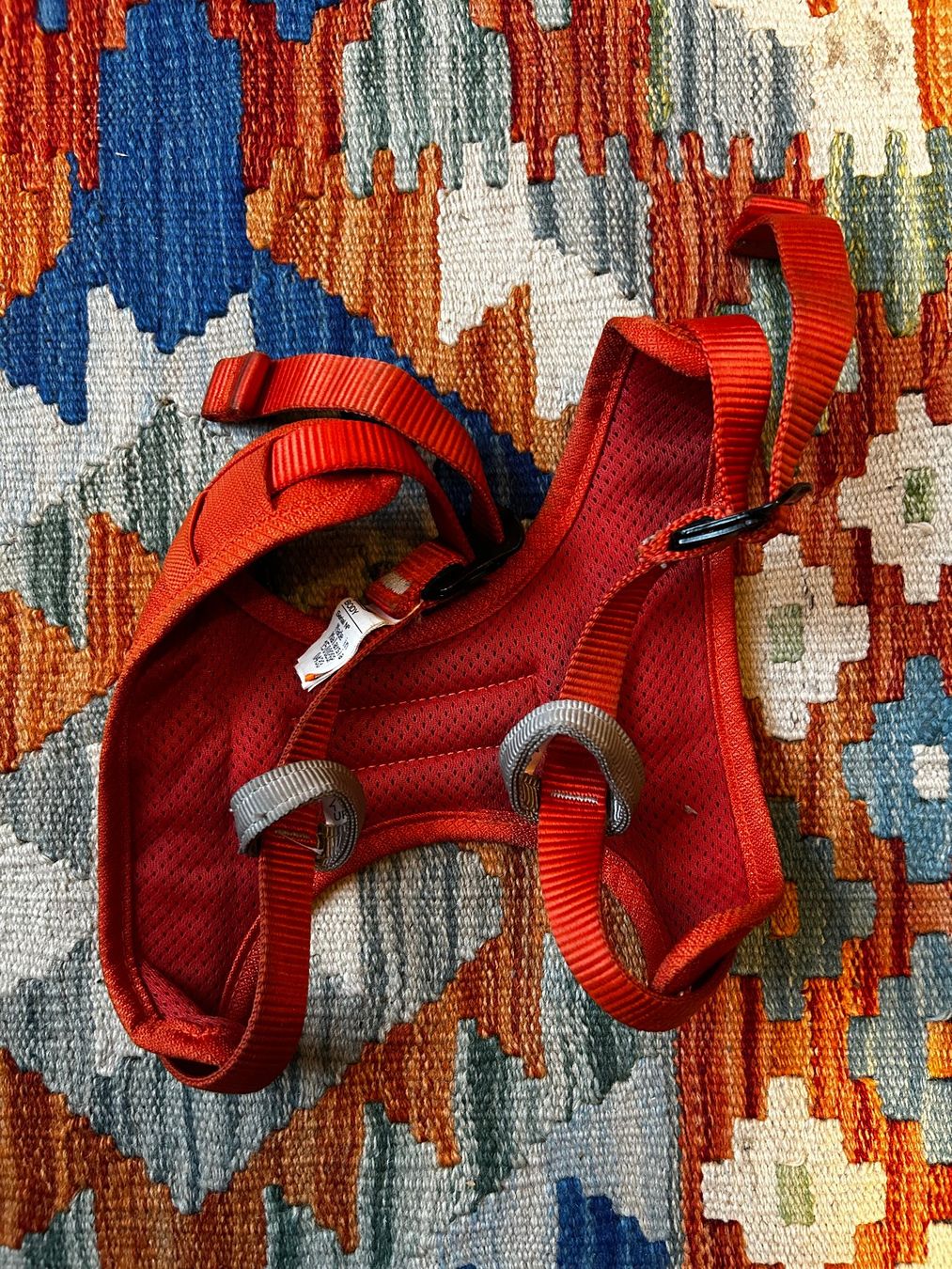 Petzl Flug- & Drachensport: Petzl Body – Gebraucht aus Bern von Mkollega 1