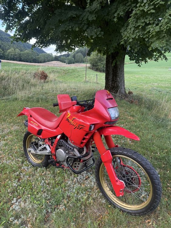 Spannungsregler Für HONDA NX 650 Dominator Von 1989 Bis 1994 NEU