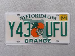 🇺🇸🇺🇸 USA Nummernschild # FLORIDA # 🇺🇸🇺🇸