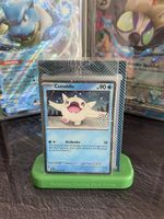 Pokemon Cetoddle 053/193 PAL Winter-Special