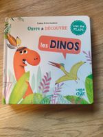Livre "Ouvre et Découvre les Dinos" - Parfait état !