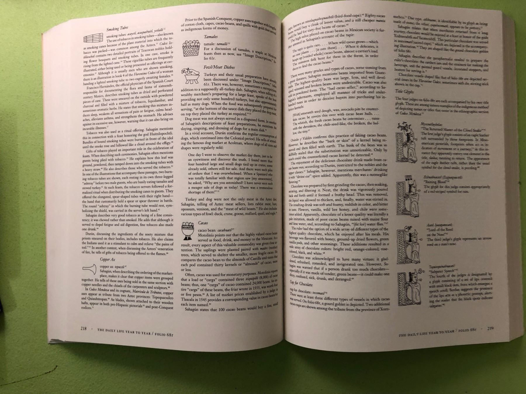 Bücher: F. F. Berdan, P. R. Anawalt: The essential Codex Mendoza – Gebraucht aus Zürich von allp 5