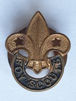 Altes Pfadfinder-Abzeichen – Boy Scouts Messing