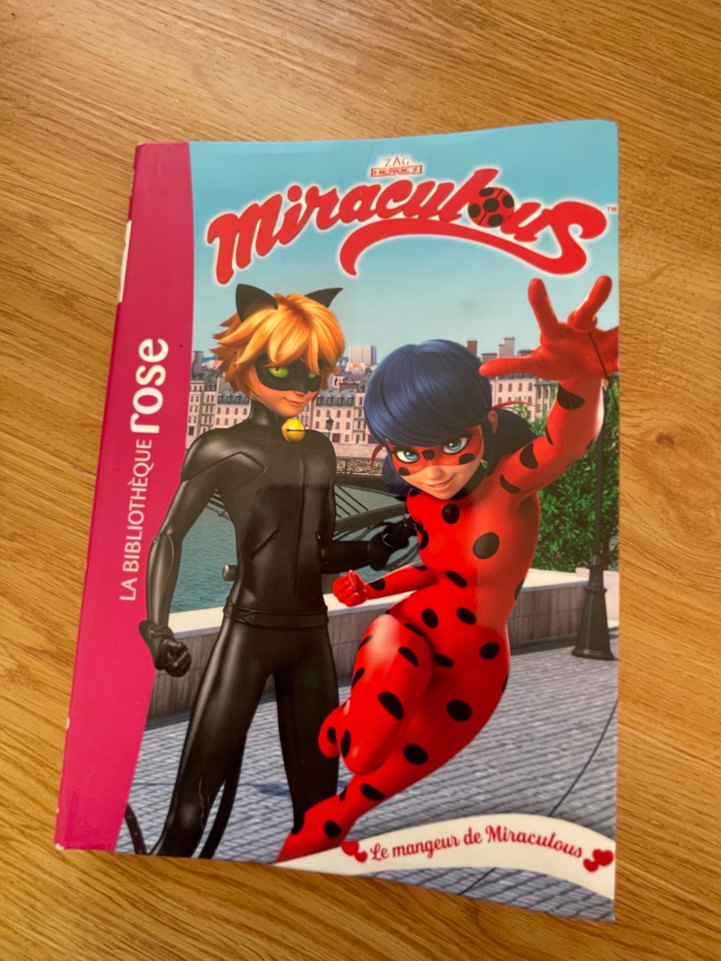 Libri: Miraculous – Usato da Buttes venduto da ste_29gf