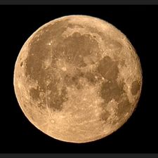Profile image of Mond689