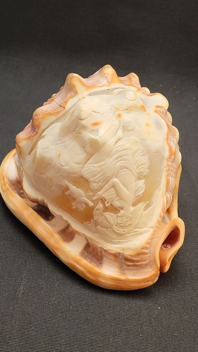 Figuren: Handgeschnitzte Cameo-Muschel – Gebraucht aus Basel von spinne02 5
