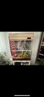 Terarium mit schönem Holz Regal und zahlreichem Zubehör