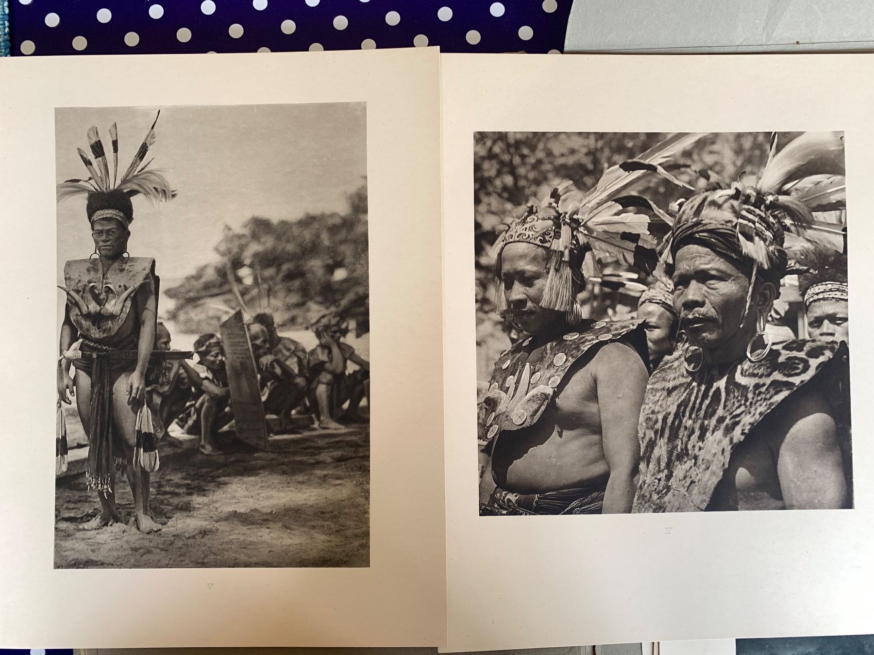 Libri: Antikes Borneo 1-3 Dr. Gregor Krause 1920-1925 – Usato da Basel venduto da Akinom50 3