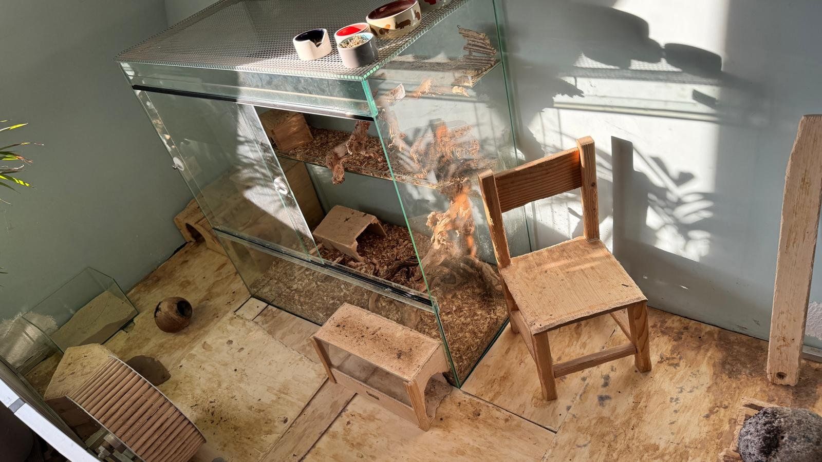 Terrarium: Nager-Terrarium mit Aussengehege – Gebraucht aus Zürich von charismatic74 1