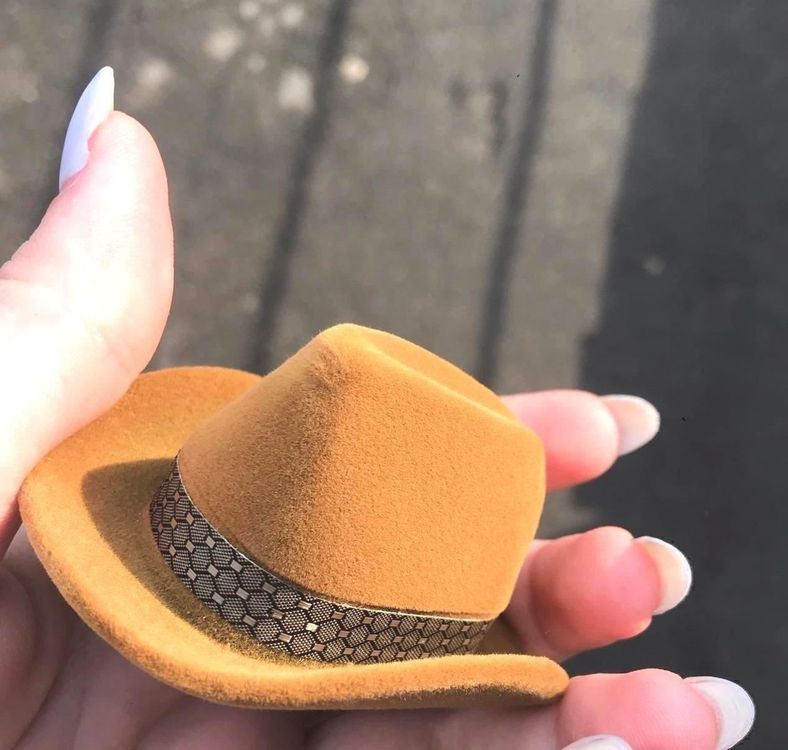 HomeSoGood Boîte à Bijoux Créative En Velours Pour Chapeau De Cowboy Occidental - Boîte à Bijoux En Forme De Chapeau De Cowboy - Cadeau De Saint-Valentin, De Fête De Mariage (marron) (B14