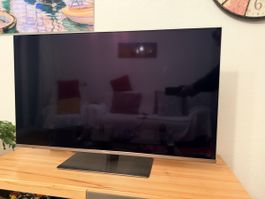 TV Panasonic 49 pouces, parfait état, comme neuve !