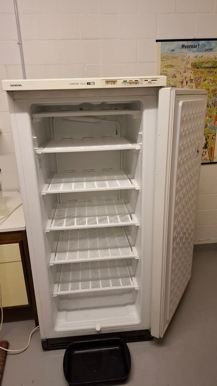 Siemens Gefrierschrank: Gefrierschrank Siemens Comfort Plus – Gebraucht aus Oberrieden von  2