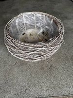 Grosser Pflanzenkorb