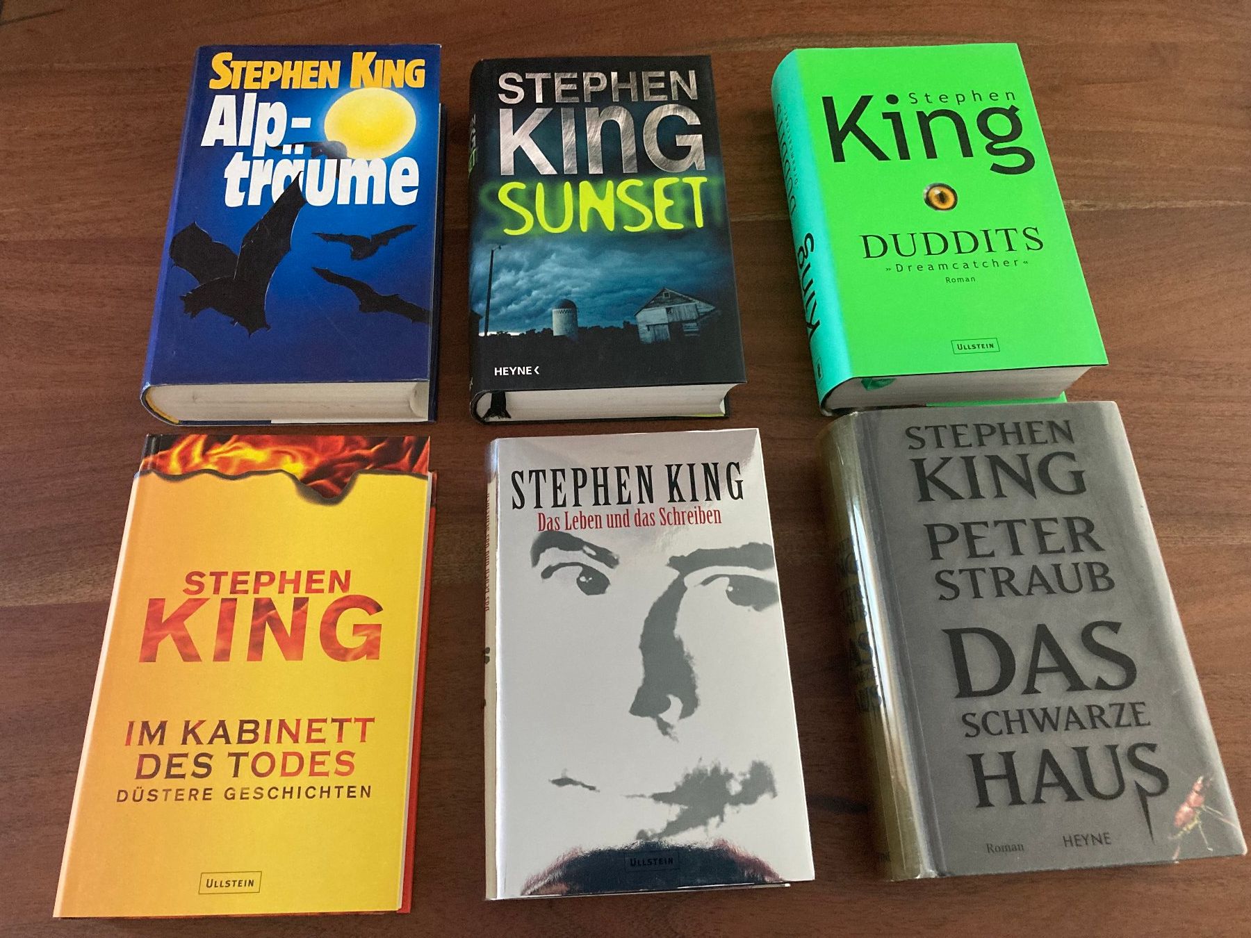 Libri: 21 Stephen King Bücher gebunden – Usato da Mauensee venduto da Etrigan 1