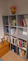 Bücherregal