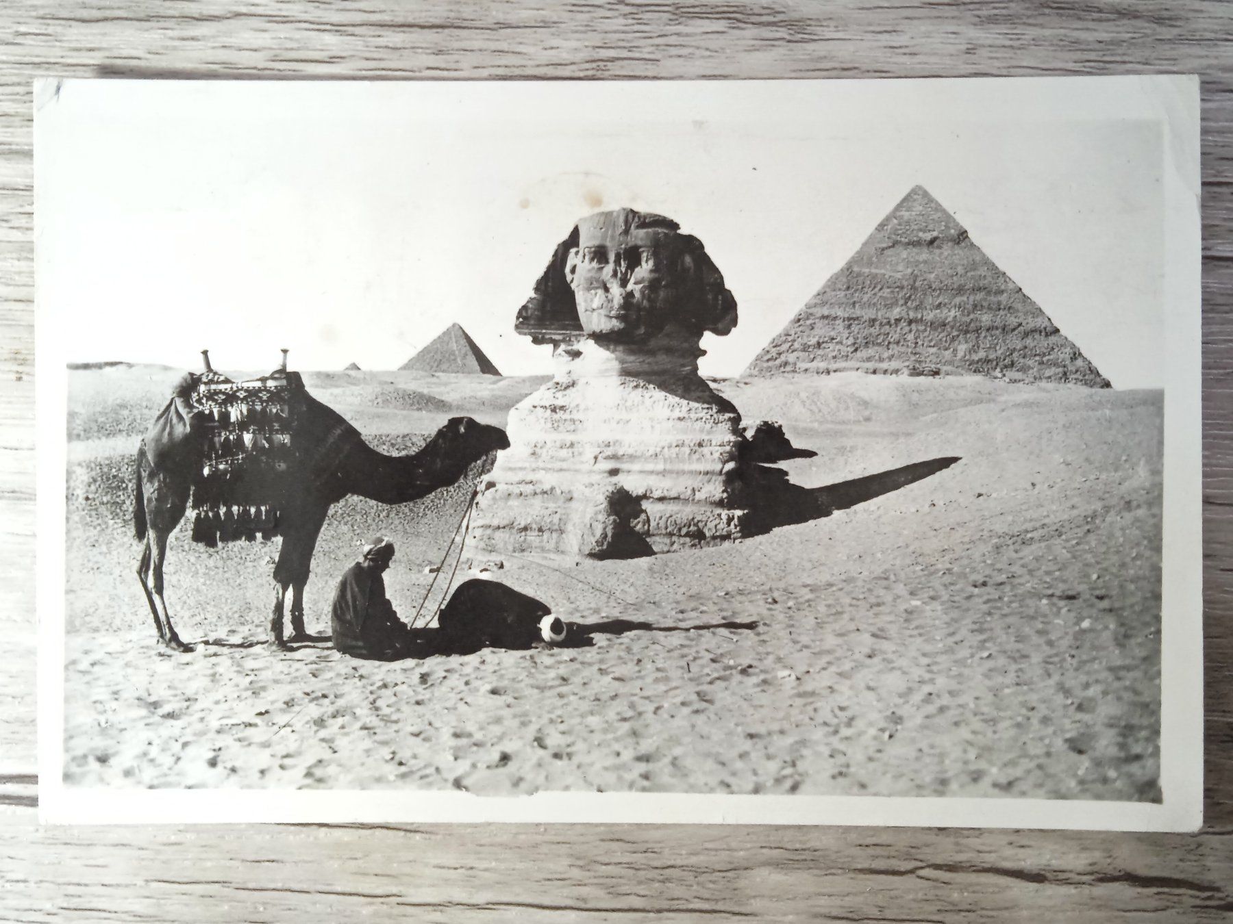 Tutti i francobolli: TR65 Carte Postale + Timbre Egypte 1950 – Usato da Cousset venduto da Patrick_Collections