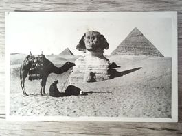 TR65 Carte Postale + Timbre Egypte 1950