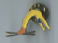 Skifahrer Pin