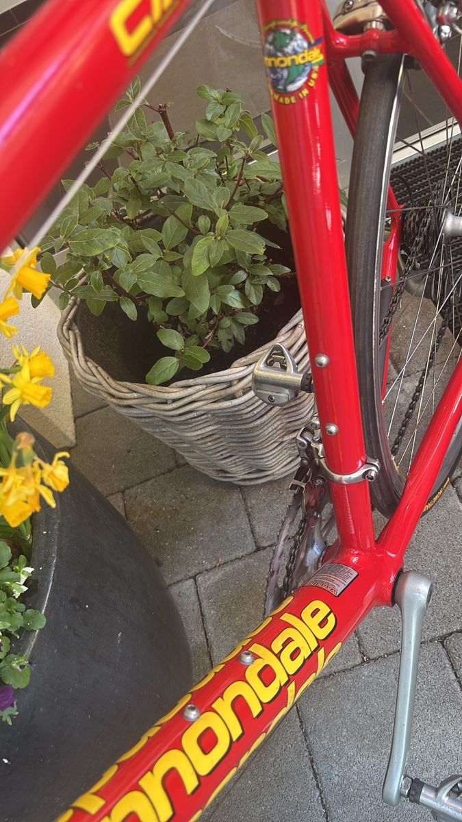Cannondale Biciclette: Cannondale CAAD3 Saeco Design – Usato da Pfäffikon SZ venduto da phi_9tp5 5