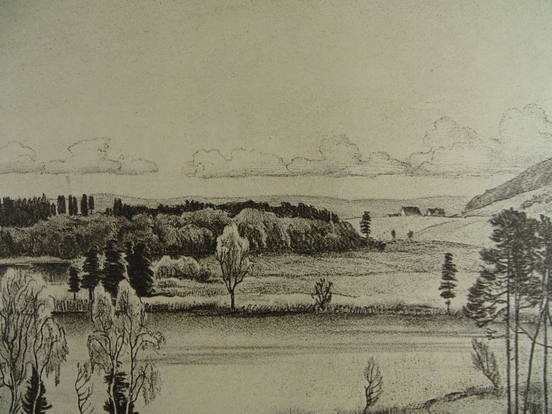 Dipinti: NUSSBAUMERSEE, LITHO VON E.E. SCHLATTER – Usato da Grüningen venduto da Kartensammler 3