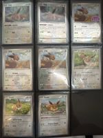 🔥Eevee - 8 Karten🔥