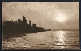 Petersinsel /Bielersee, Uferpartie mit B