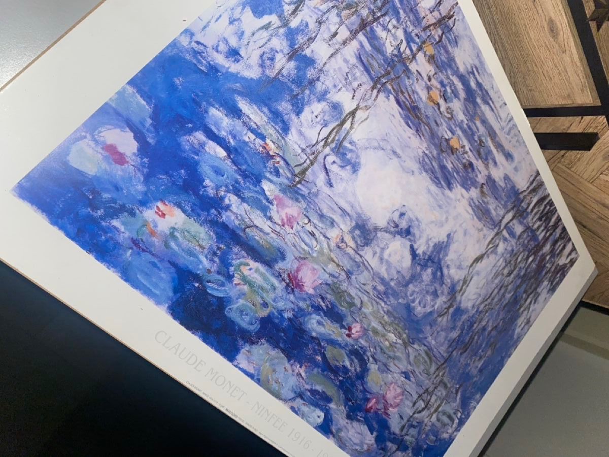 Foto & Immagini: Monet's Water Lilies Print – Usato da Dietikon venduto da Tdaf33