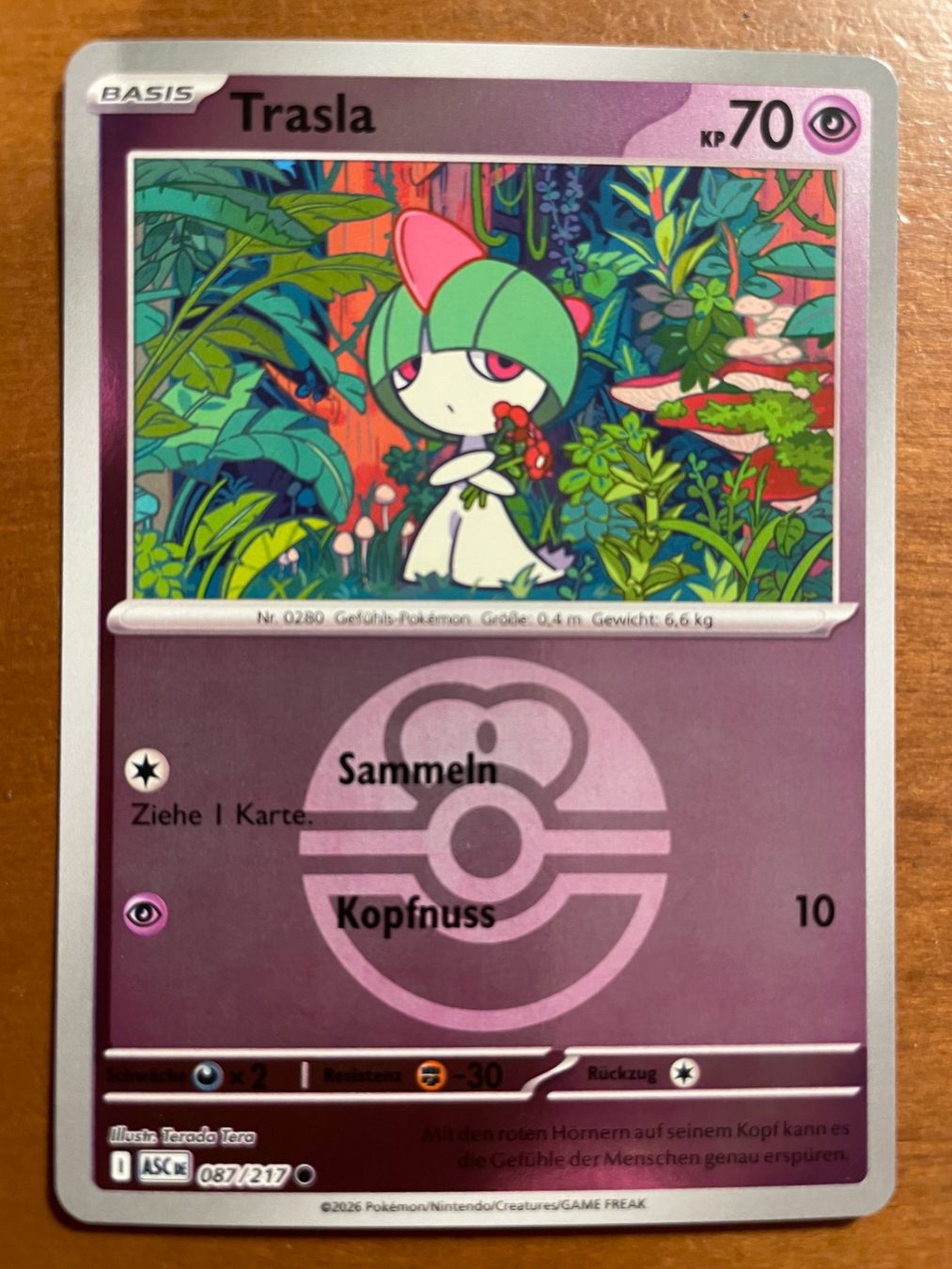 Pokémon Carte collezionabili: Pokemon Trasla Reverse (Versand gratis) – Nuovo (secondo la descrizione) da Chur venduto da Angerson