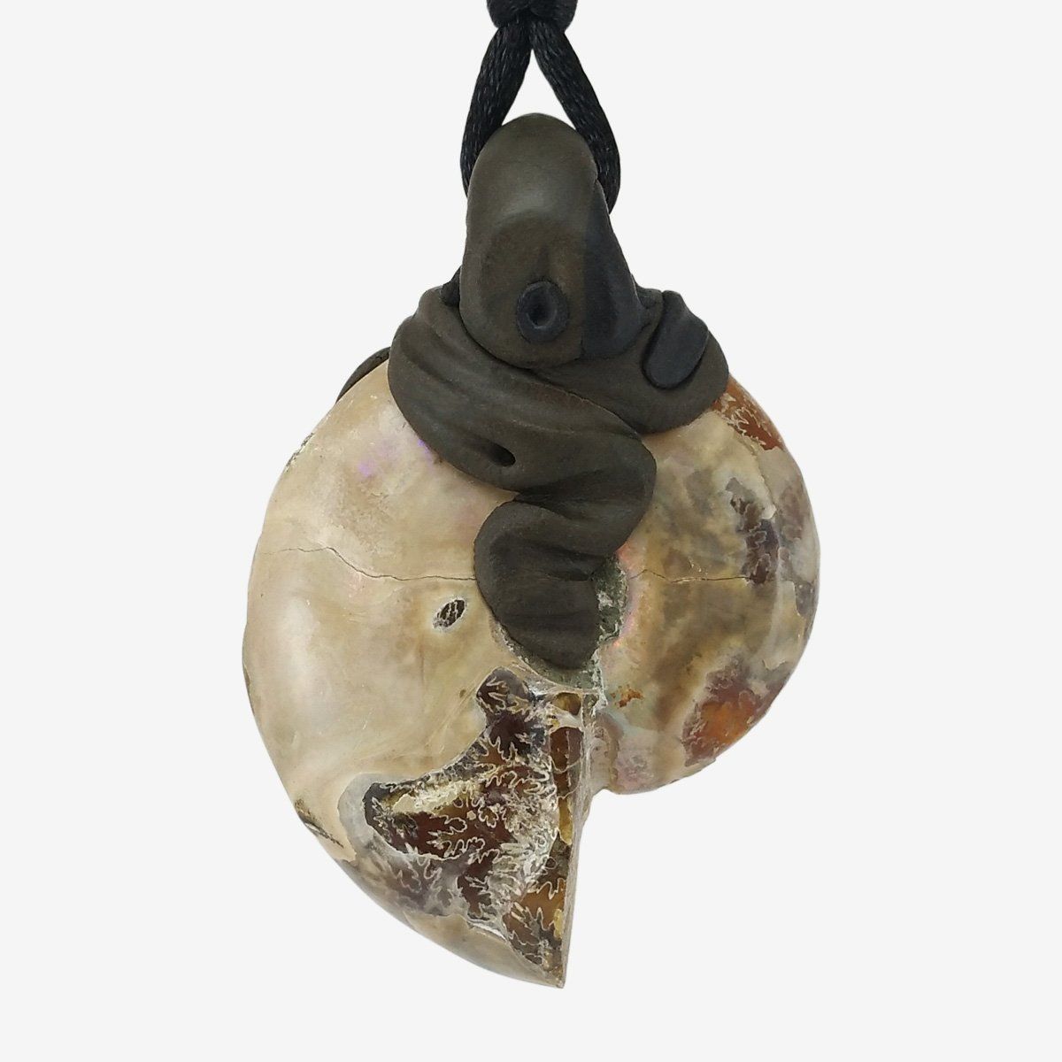 Fossili: Ammonit Fossil Steinanhänger – Nuovo e nell'imballaggio originale da Meilen venduto da Kaleidoskopia 2