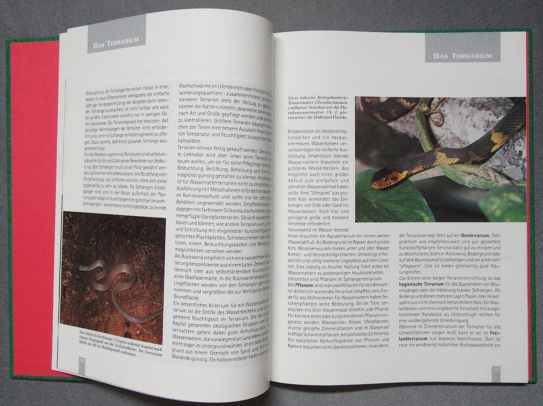 Libri: Wassernattern - Ratgeber von Dr. sc. Dieter Schmidt – Usato da Auenstein venduto da Padabimbim 3