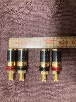 Audiocrast LS Polklemmen