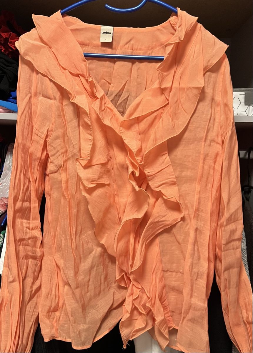 Zebra Camicette: Sehr schöne Bluse Grösse L  – Usato da Oberentfelden venduto da Dianaaaaaa