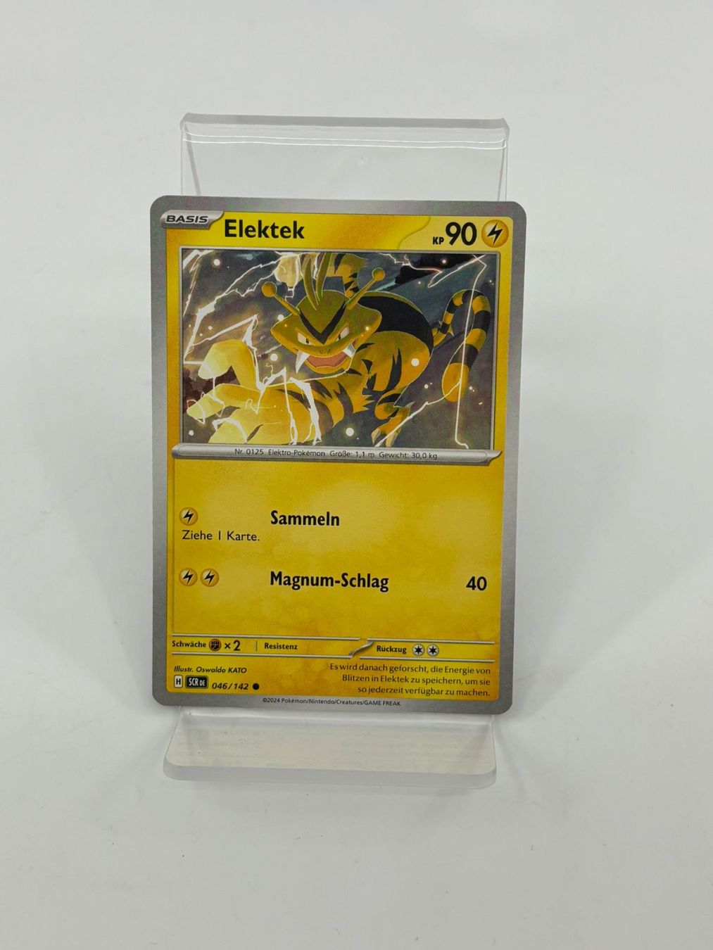 Pokémon Carte collezionabili: Pokemon Elektek 046/142 – Usato da Herisau venduto da Pokemon2025
