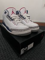 Air Jordan 3 True Blue US10