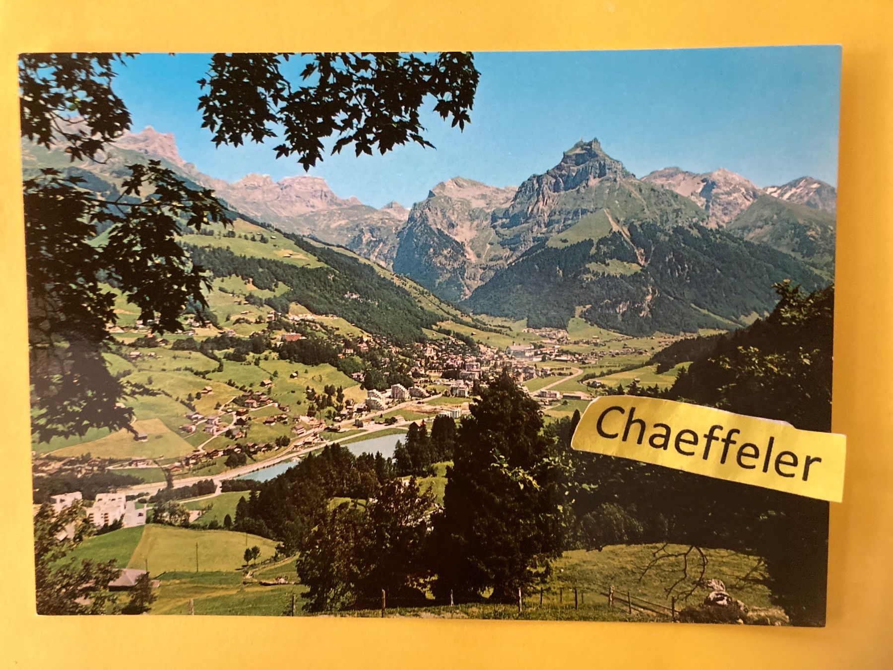 Cartoline postali: 1979 Engelberg mit Hahnen – Usato da Zürich venduto da Chaeffeler
