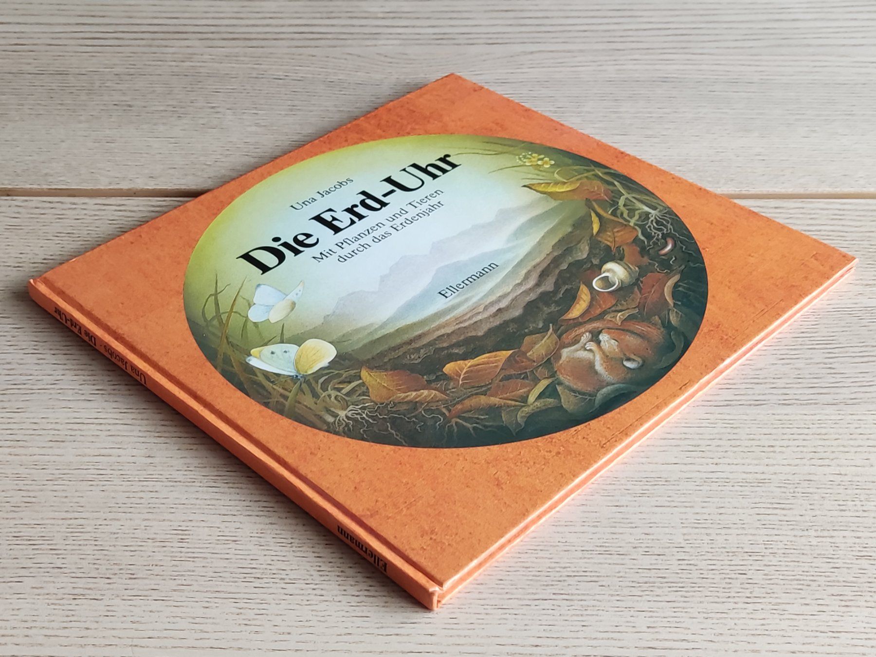 Libri: Die Erd-Uhr – Bilderbuch (1985) – Usato da Schaffhausen venduto da philscardstore 2