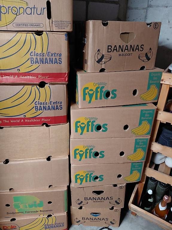 Cartoni: 73 Bananenschachteln – Usato da Dietikon venduto da Chadascha 1