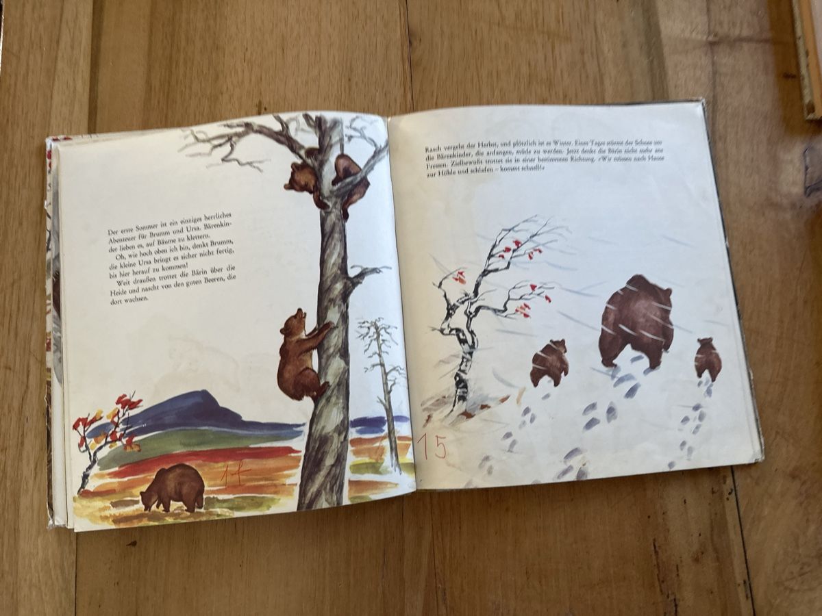 Libri: Kinderbuch Klassiker: BRUMM der braune Bär von Inga Borg – Usato da Frauenfeld venduto da aluma14 2