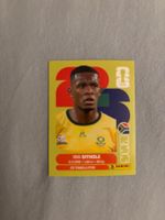 Panini Sticker RSA 15, Südafrika WM 2026
