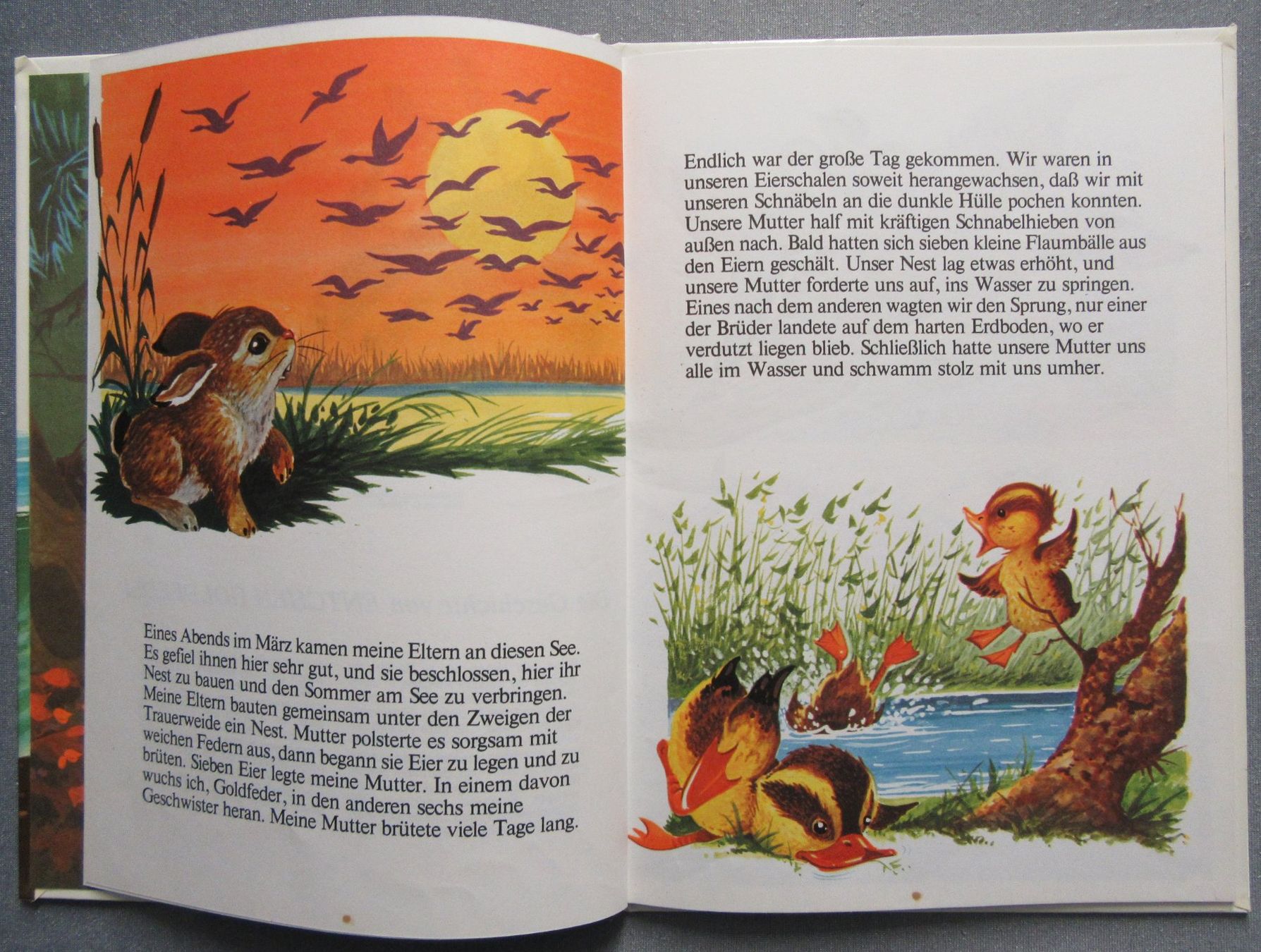Bücher: Die Geschichte von... Entchen Goldfeder – Gebraucht aus Auenstein von Padabimbim 1