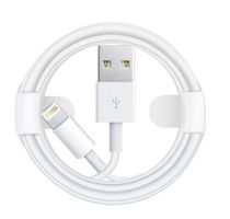 Apple USB-Kabel für iPhone/iPod/iPad 0.5 Meter lang
