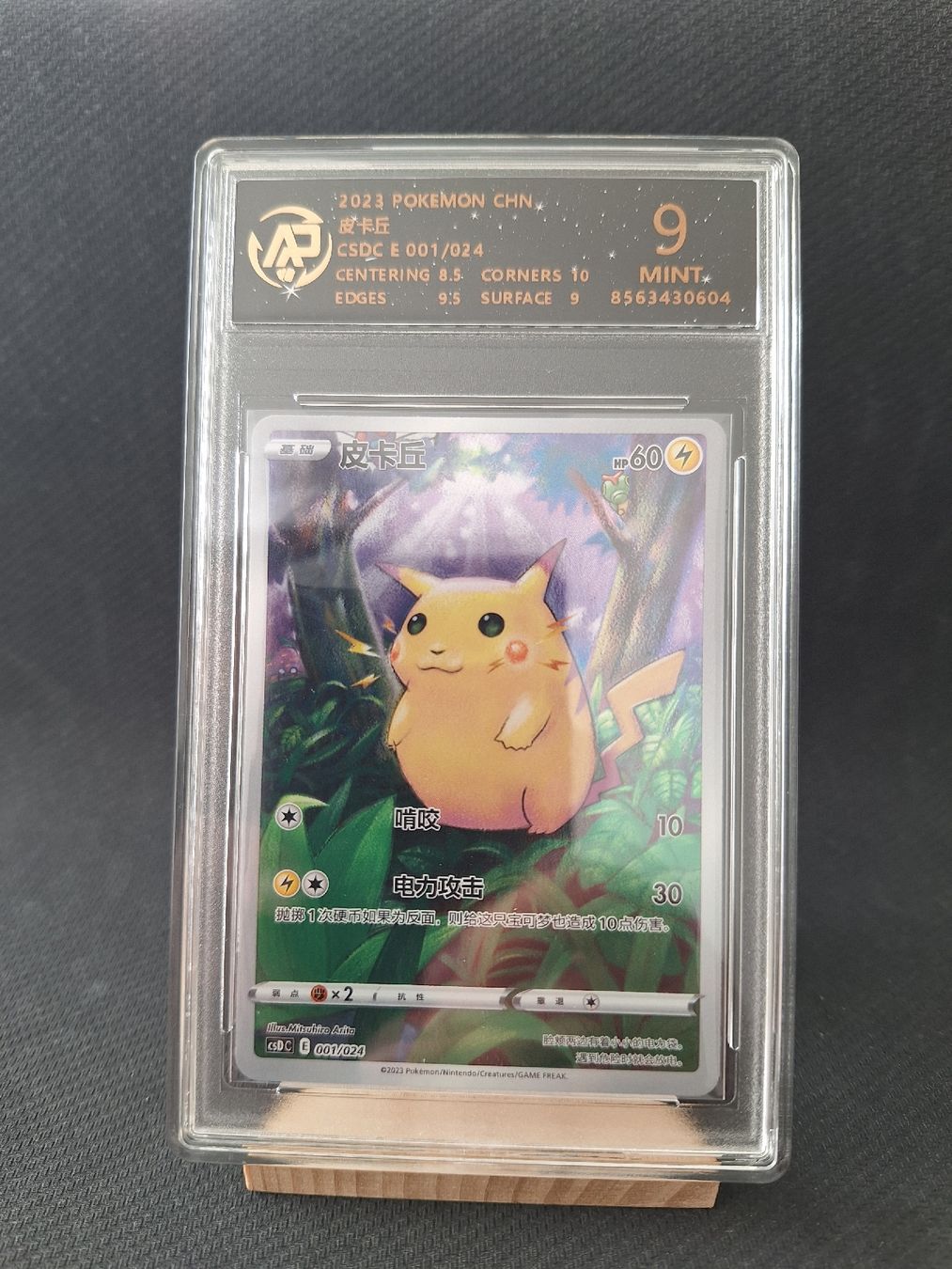 Pokémon Carte collezionabili: Pokemon Karte (CSDC 1) – Nuovo (secondo la descrizione) da Obernau venduto da gig_g7j8