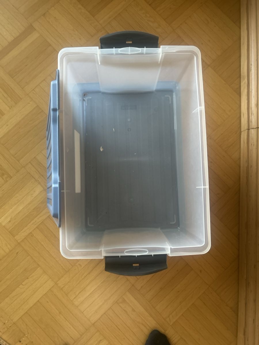 Contenitori & Simili: Aufbewahrungsbox rotho 13l – Usato da Liestal venduto da lis_ny7y 1
