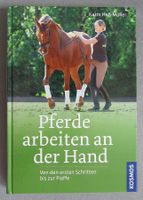 Pferde arbeiten an der Hand - von Karin Hess-Müller