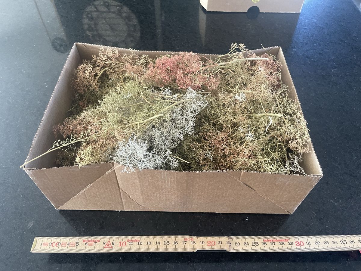 Kits de montage: Arbre pour modélisme ou maquette.  – D'occasion à Lovens par Sined01