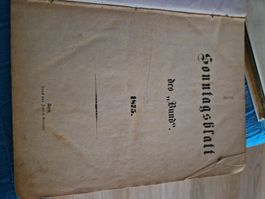 Giornale antico "Sonntagsblatt des Bund" 1875, Berna 48