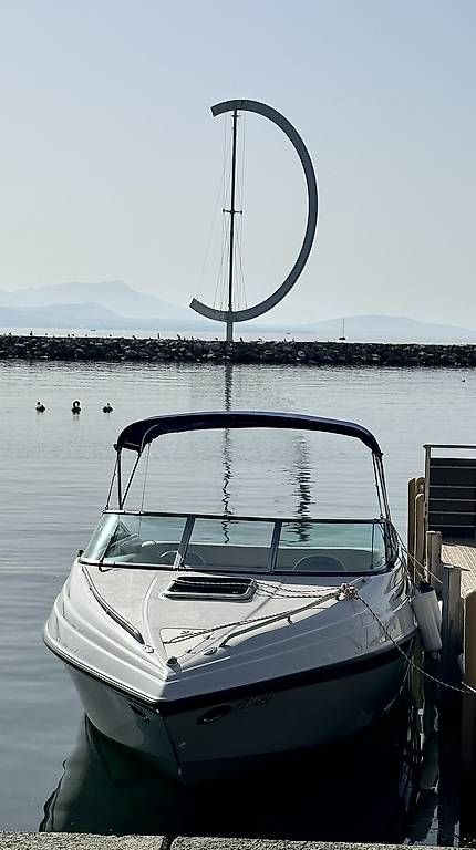 Crownline Barche: Crownline 205CCR avec remorque – Usato da St-Gingolph venduto da NVSIN 3